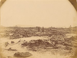 Image description is not available for 2003.019